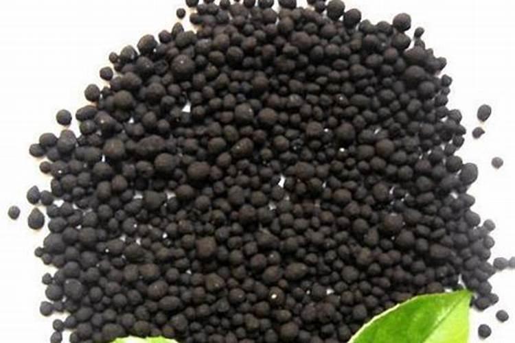 小麦干旱能喷芸苔素吗