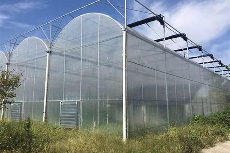 温室大棚蔬菜种植,如何施底肥？