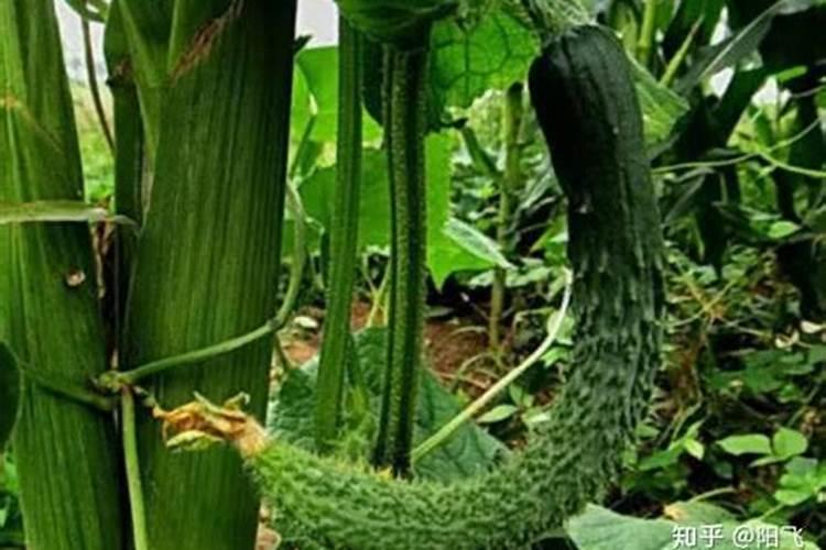 新蔡有什么工厂