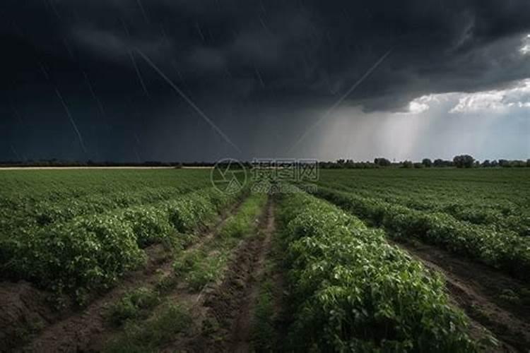 阴雨天鱼塘如何肥水,请养殖高手指点谢了