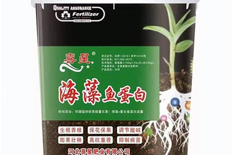 泰国对进口的有机水溶肥的要求