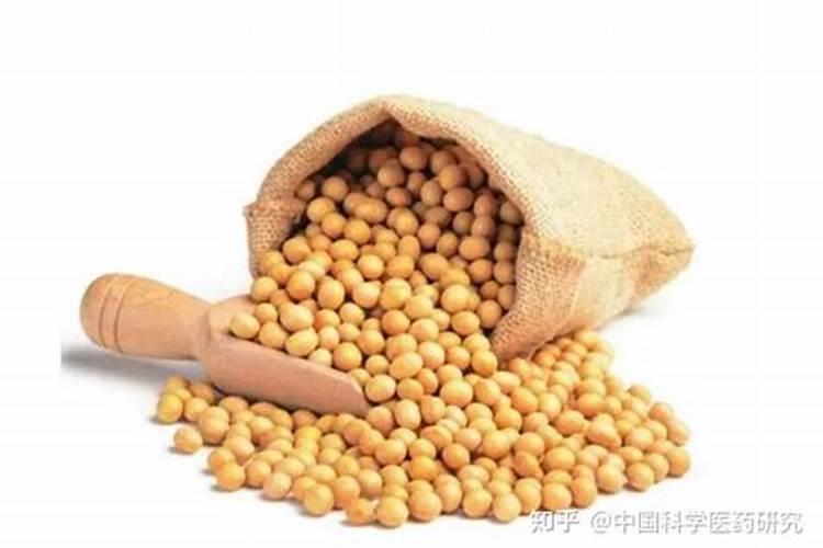 如何在土地上打水泥地坪