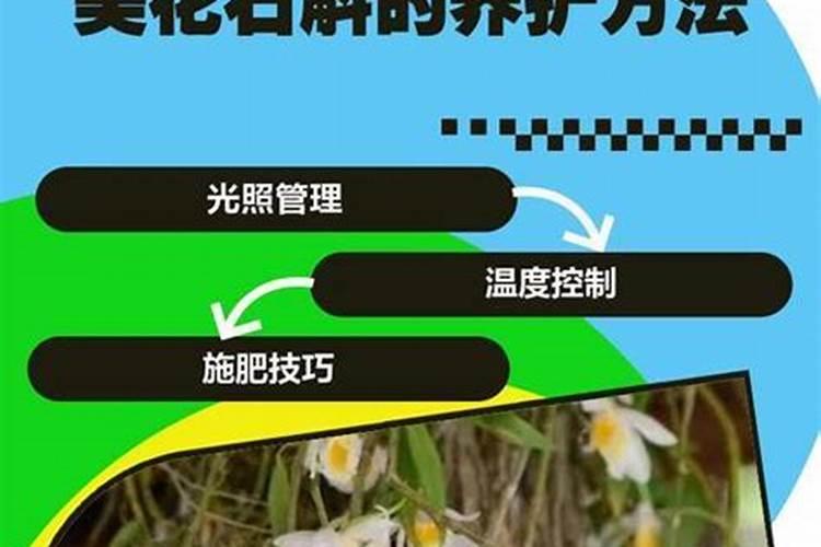 怎么判断作物是不是缺钾肥了？