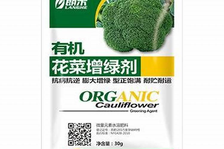 大姜高温天是干还是湿