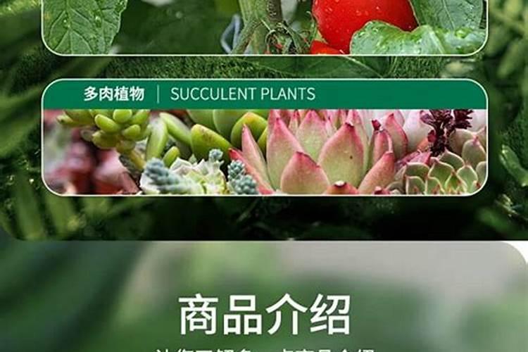 芸苔素搭配什么好