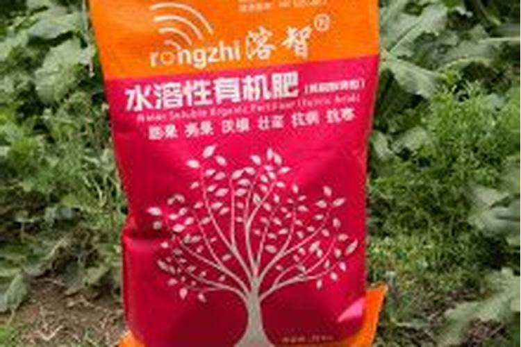 种植花生适合施用什么肥料 一般不同品种