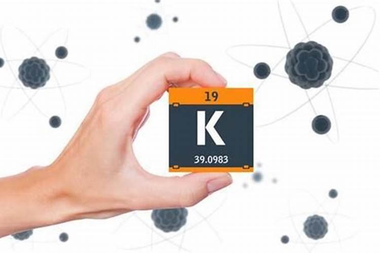 君子兰缺肥怎么判断