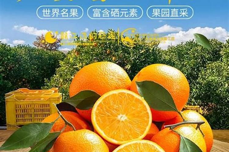 赣南脐橙哪里的最好吃