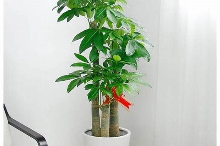 磷肥是什么肥料做成