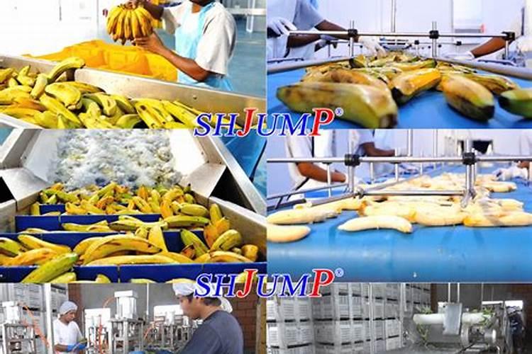 怎样根据香蕉需肥特点进行施肥