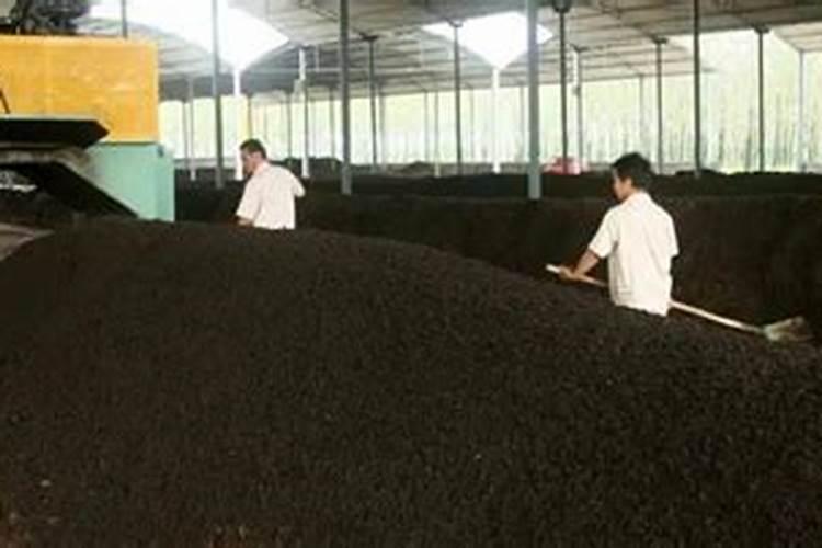 有多少种有机肥发酵的方式