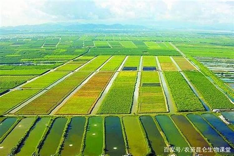 黄腐酸钾如何降低ph值