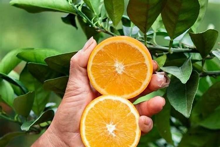 氮磷钾施肥过量,会有什么危害？