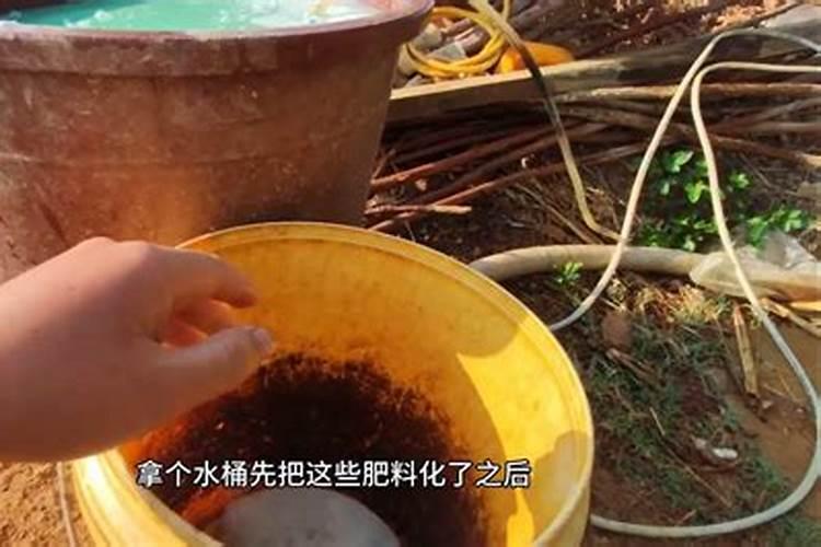 如果用尿素做叶肥的话,兑水的比例大概是多少？