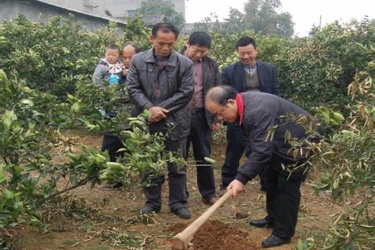 排名前十水溶肥品牌