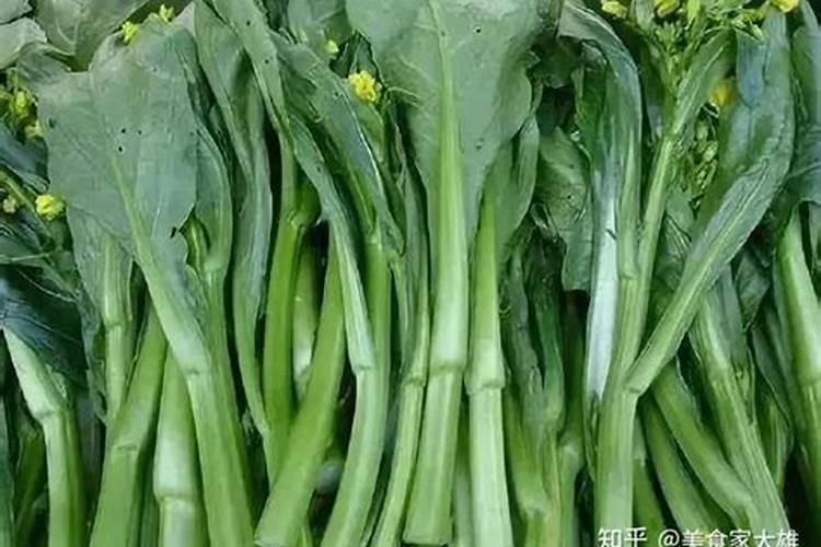 蓝莓开花结果期施什么肥好