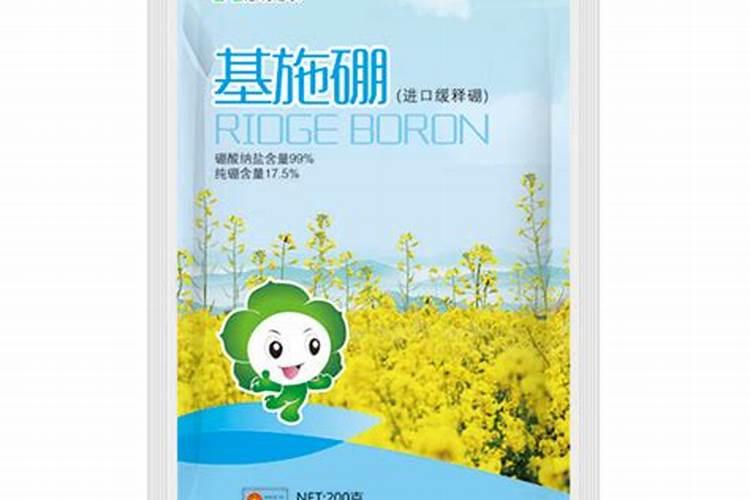 绿植叶子发黄什么原因 ？10大原因告诉你,你家绿植为啥总黄叶!