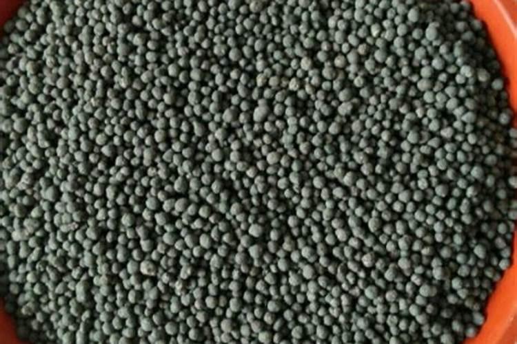 大米可以放土里当肥料吗