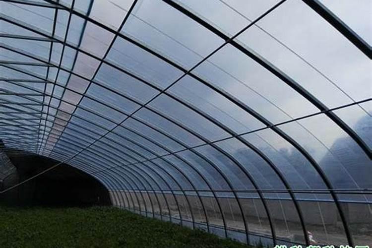 温室大棚出现肥害怎么办