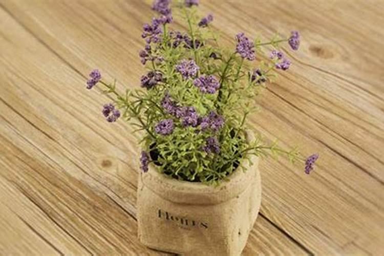 尿素肥料的作用与功效 尿素的生产原料是什么