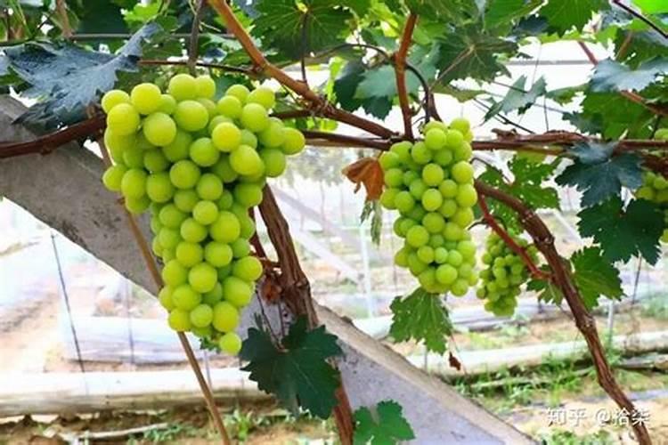 贵开泰掺混化肥是国企还是私企