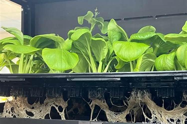 贵州宏福复合肥是全国排名第几名啊