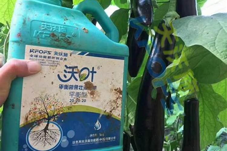 水溶肥价格多少钱一吨