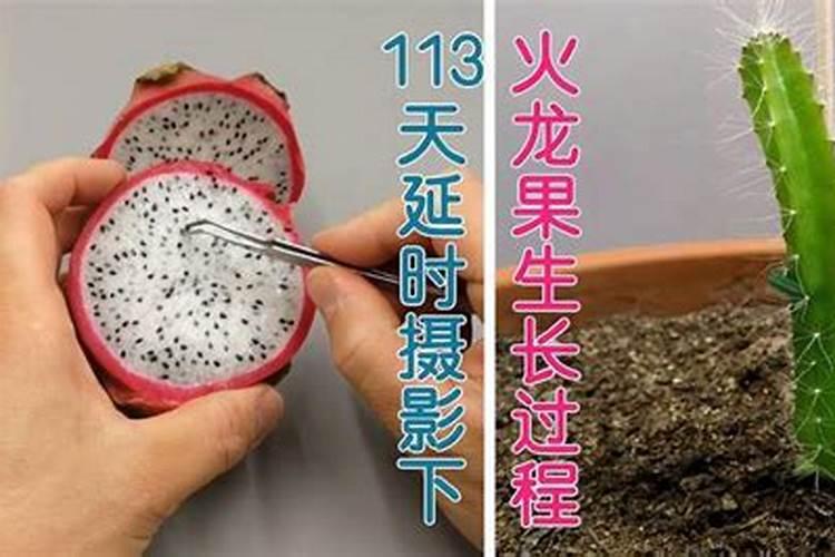 埋肥什么天气最合适