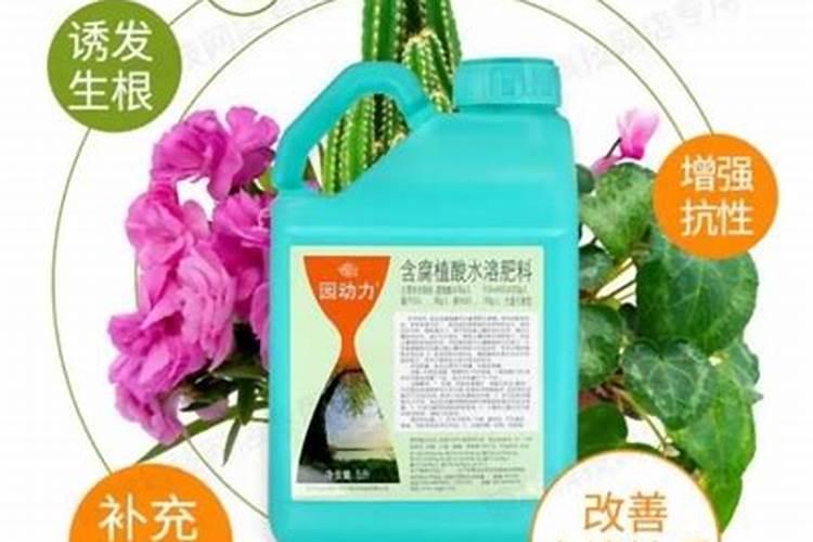 矿源黄腐酸钾浇兰花多少倍合适？