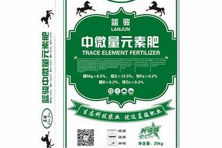 什么是酶解工艺