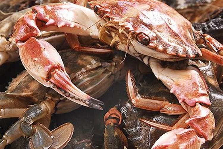 大红甲水溶肥使用方法