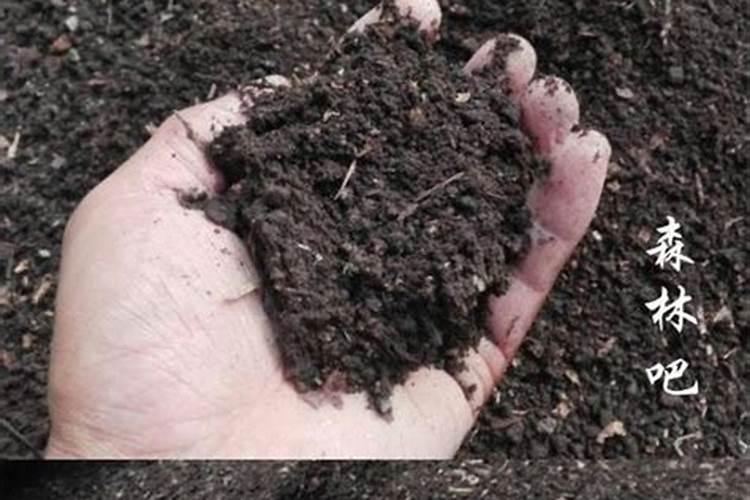 叶面肥的作用有哪些？叶面肥和芸苔素有啥区别？