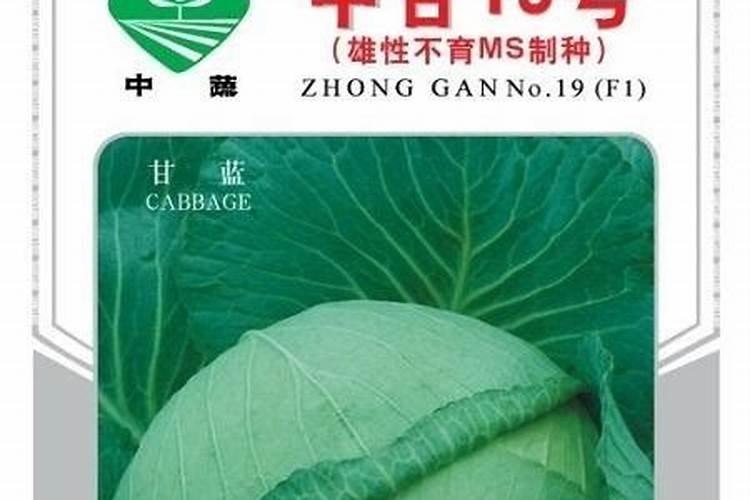 荔枝买红的还是买绿的 荔枝买回来是青的怎么办