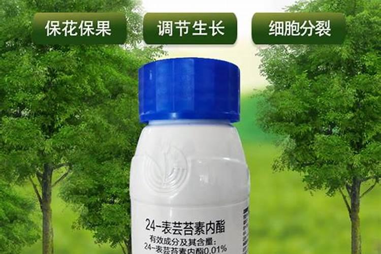 三个方法教你催熟青荔枝 青荔枝如何催熟