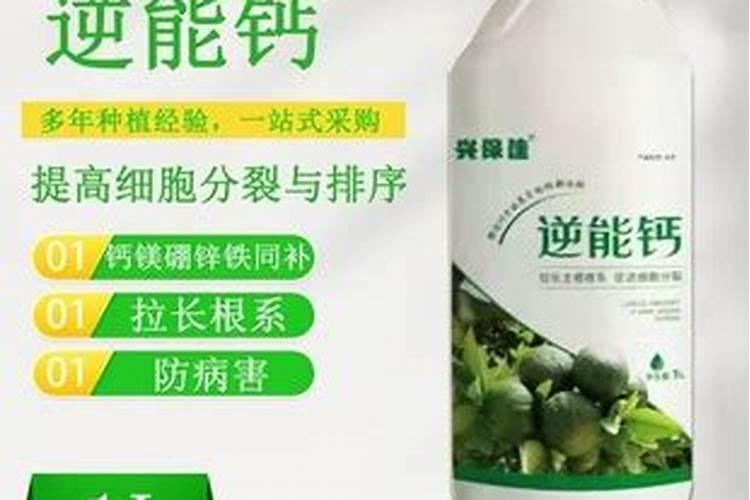 天脊硝酸磷钾肥80斤多少钱一袋？