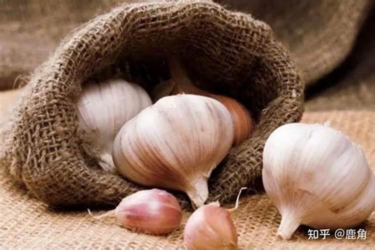 发财树叶子黄斑用什么药