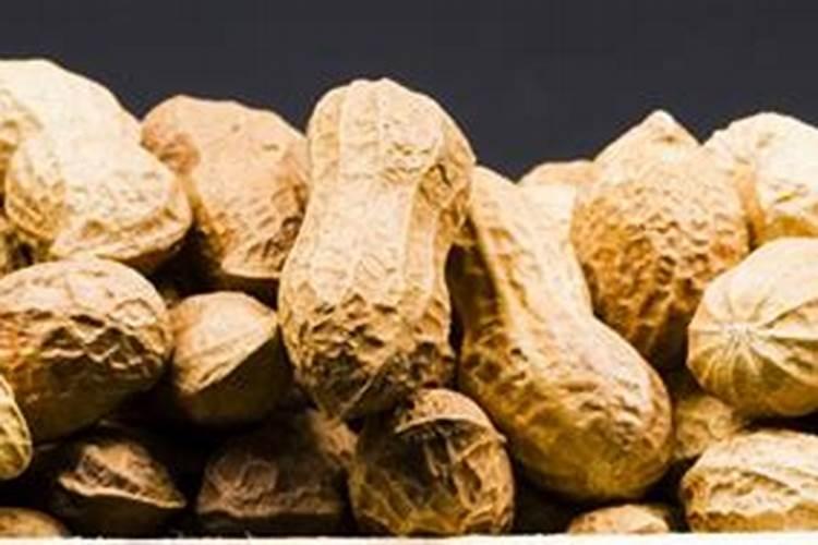 熟花生壳可以做肥料吗