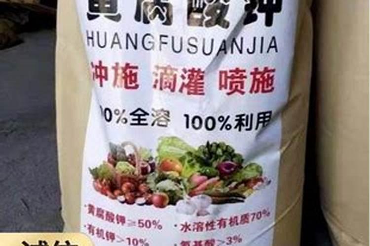 绿萝发黄用什么施肥