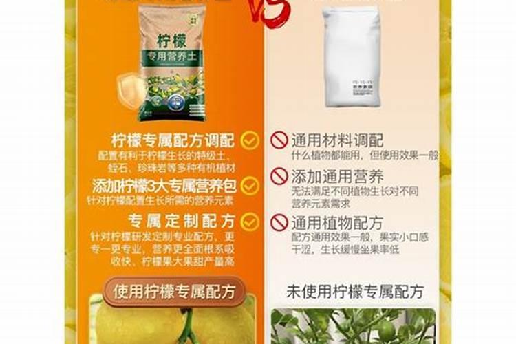 柠檬树坐果需施什么肥