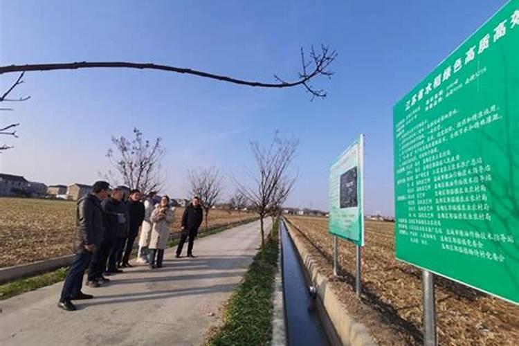 橙梦一号水溶肥料防治那些虫