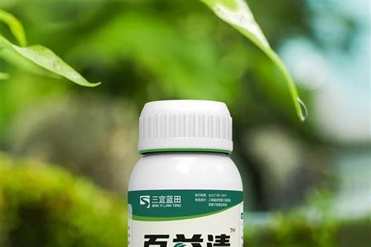 酒店园林绿化病虫害该怎样治理？