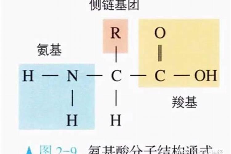 ...安全的深远影响有哪些？鱼菜共生系统为什么不用农药？