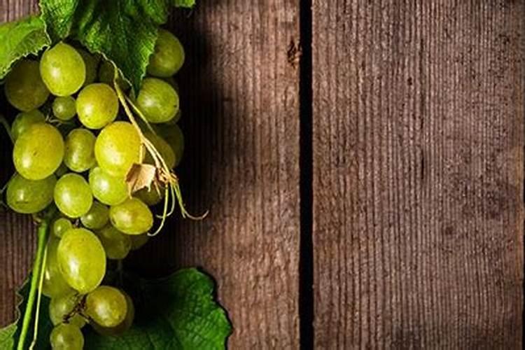 葡萄可以用尿素吗