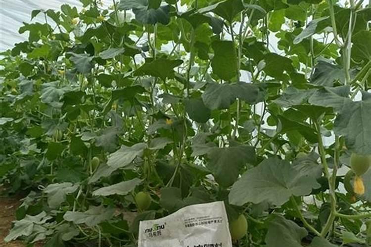 土地肥力值多少为标准值