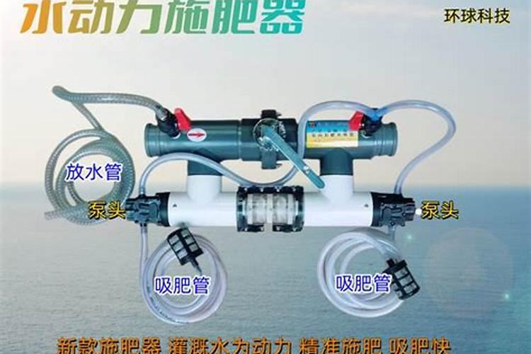 马水桔的修剪方法 马水桔如何修剪