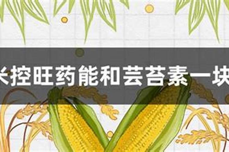 甜瓜授粉15天后冲平衡肥还是高钾肥好？
