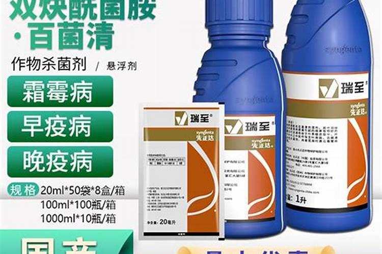 先正达精甲百菌清;我和邻居用了精甲百菌清预防黄瓜霜霉病,防治效果很差...