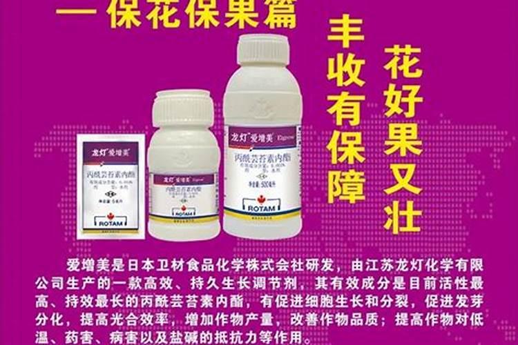 向日葵的病害防治方法有哪些