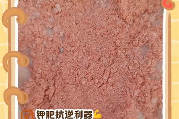 钾盐和钾肥的区别