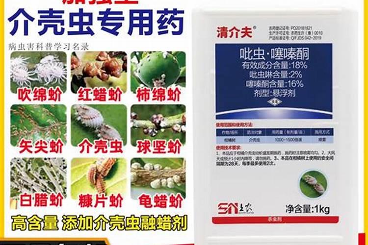 蚧壳虫用什么药最管用